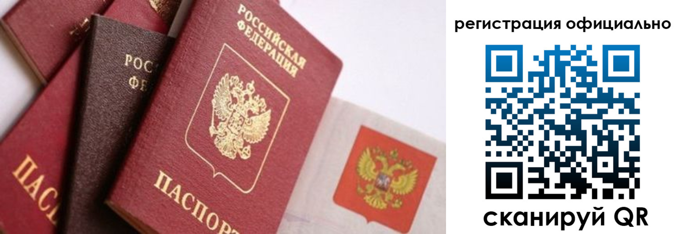прописка гарантия в Зеленоградске